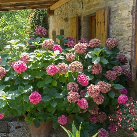 Casa La Valle, Gubbio, Frazione Santa Cristina Bed and Breakfast Εξωτερικό φωτογραφία