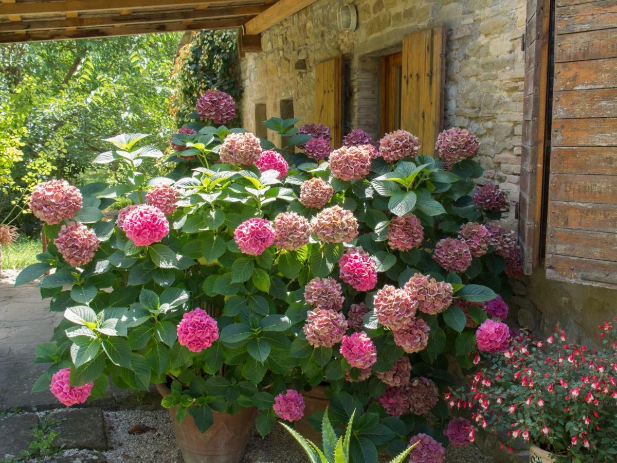 Casa La Valle, Gubbio, Frazione Santa Cristina Bed and Breakfast Εξωτερικό φωτογραφία